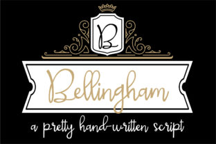 Bellingham: Elevating Brand Voice with Casual Script