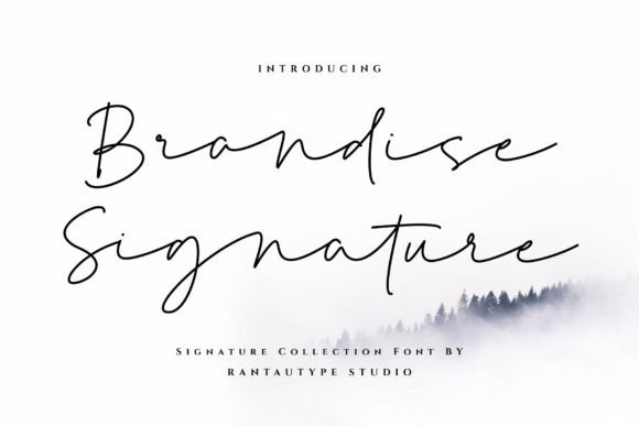 Elevate Your Brand with the Elegant Brandise Signature Font
