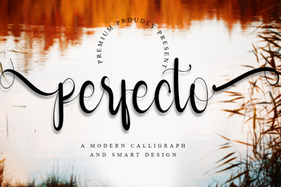 Perfecto: Elevating Designs with Whimsical Script Typography